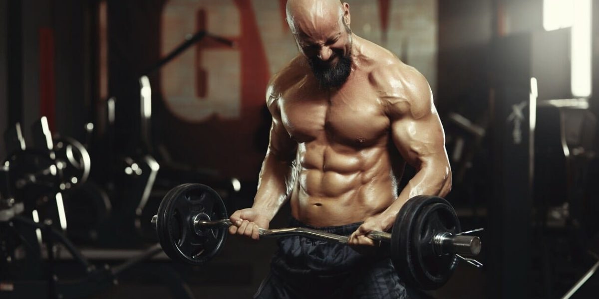 musculation : sportif motivé en pleine séance d'entraînement