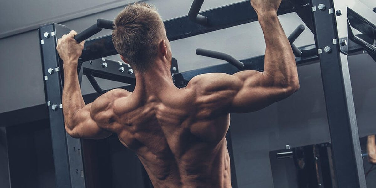 tractions : pratiquant effectuant une traction en prise large avec focus sur les muscles sollicités